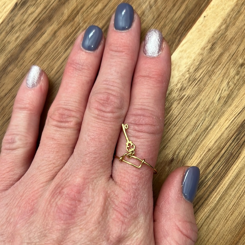 Gold plated Alex and Ani Skelton Charm Ring.